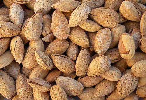 Supplier Kacang Almond Murah Bandung « Jasa Promosi Usaha Anda